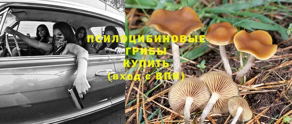 мяу мяу мука Белокуриха