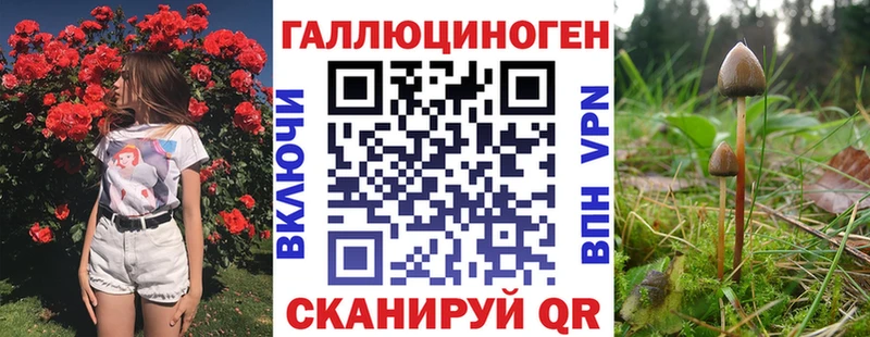 Псилоцибиновые грибы мицелий  Купить  Сальск 