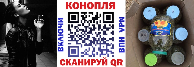 Шишки марихуана марихуана  Купить где  Сальск 